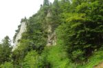 2014-07-05_Laengental-N-Hochweg (914). JPG